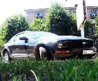 Аватара пользователя
