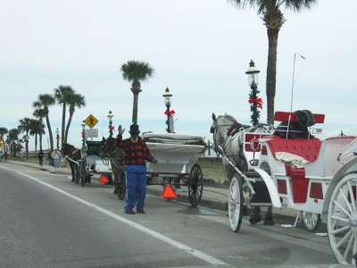 IMG_4031.JPG