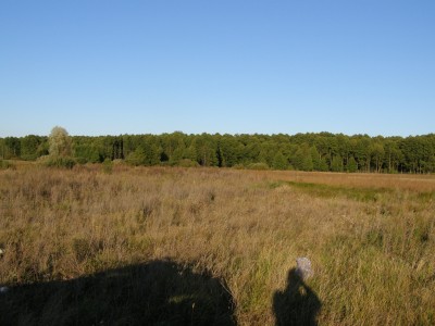 Летки1.JPG
