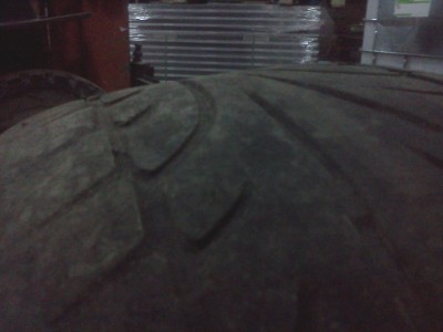 IMG20120217_007.jpg