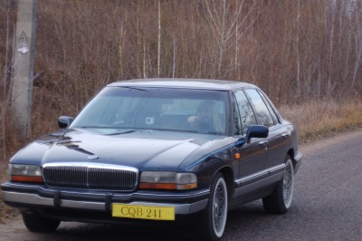 DSC_6101.JPG