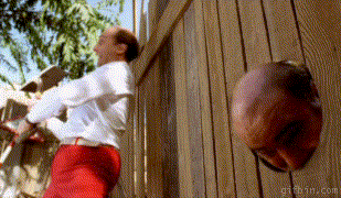 1256212364_shovel_to_the_face.gif