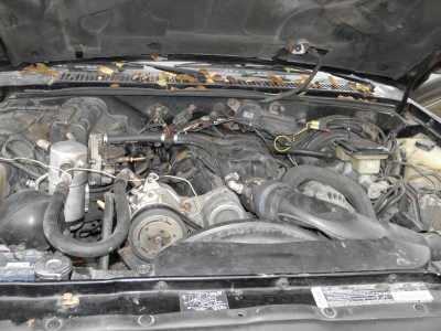 PA091126.JPG