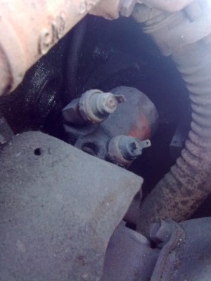 25022012305.jpg