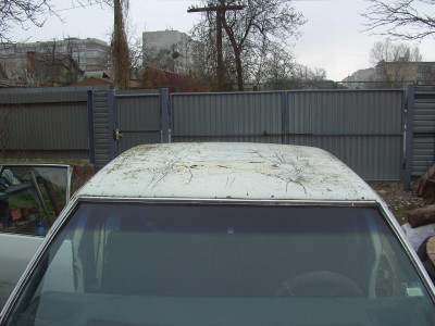 PICT7131.jpg