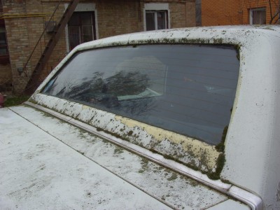 PICT7121.jpg