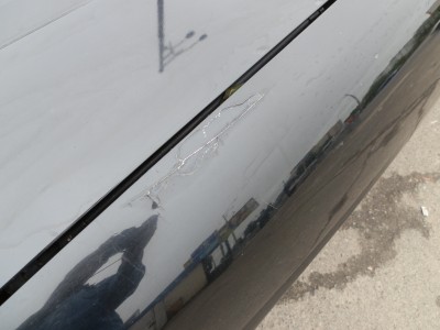 P5180676-1.JPG