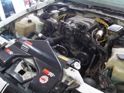 PICT0709.JPG
