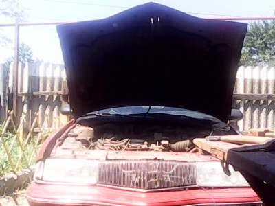 IMG0090A.jpg