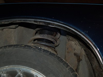 DSC_0313_hf.jpg