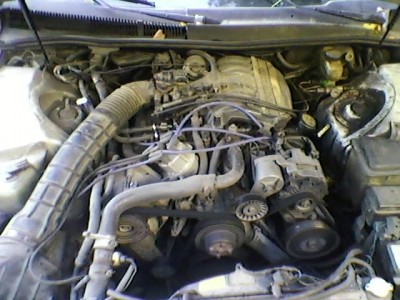 SP_A0139.jpg
