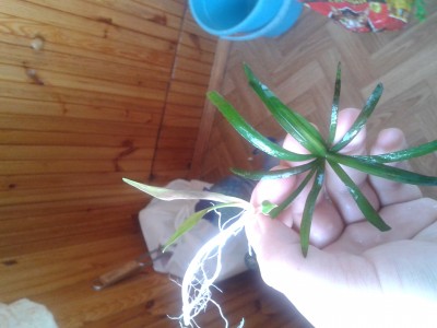 2012-10-06 12.09.35.jpg