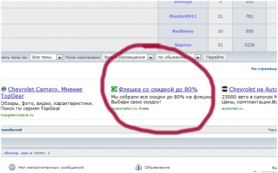 fleshka.jpg