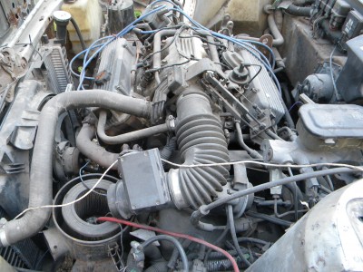 DSCN6130.JPG