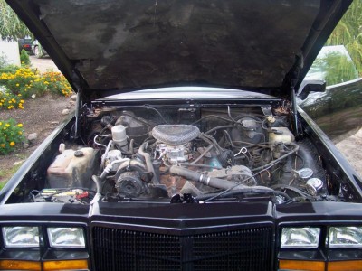 2706449264_4.jpg