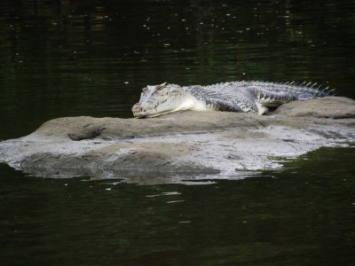 DSCF5735.JPG