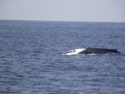 DSCF5666.JPG