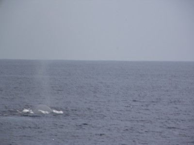 DSCF5669.JPG