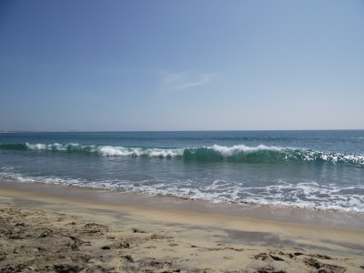 DSCF5428.JPG