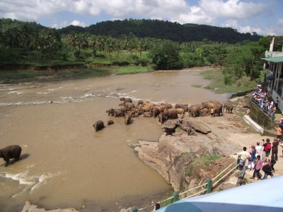 DSCF5944.JPG