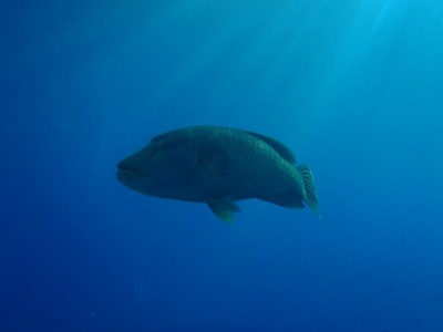 PB201097.JPG