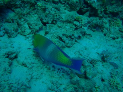 PB201105.JPG