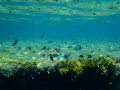 PB231226.JPG