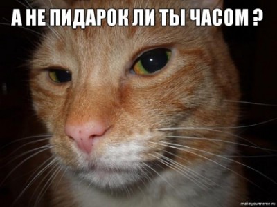 1320444633939.jpg