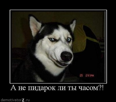-ne-pidarok-li-tyi-chasom.jpg