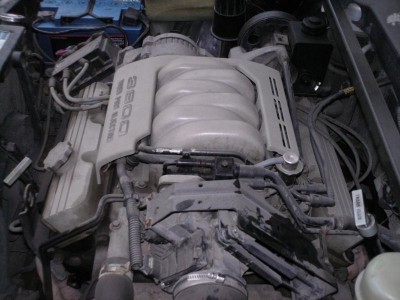 PICT0020.JPG