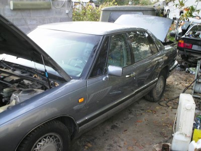 PICT0026.JPG