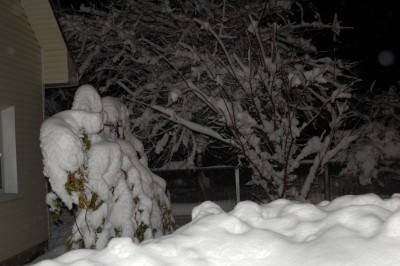DSC_1740.JPG