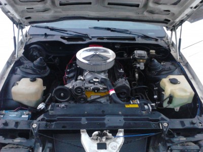 P261212_15.57_[01].jpg