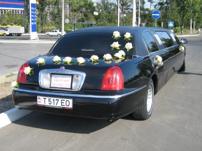 261.jpg