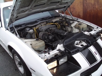 z_33903483.jpg
