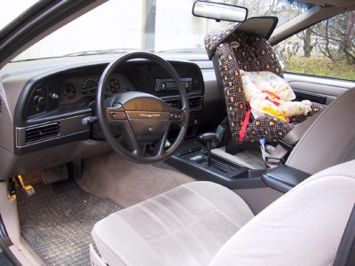 tbird2.jpg
