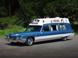 caddy3.jpg