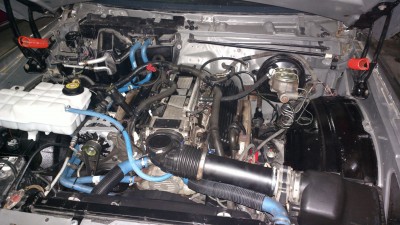 2013-01-12-0398.jpg
