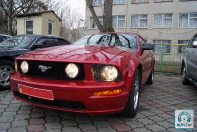 Stang2.jpg