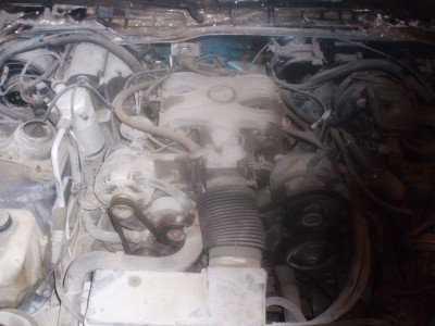 P1050547.JPG