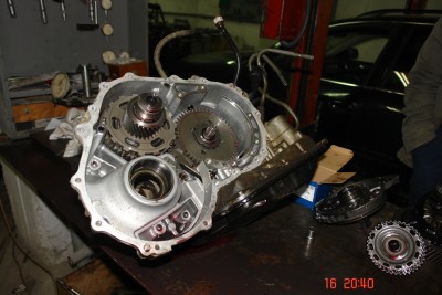 DSC09312.JPG
