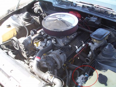 PICT0960.JPG