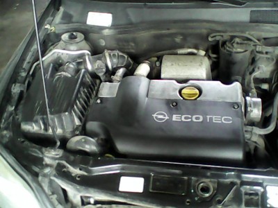 IMG_20130514_162348.jpg