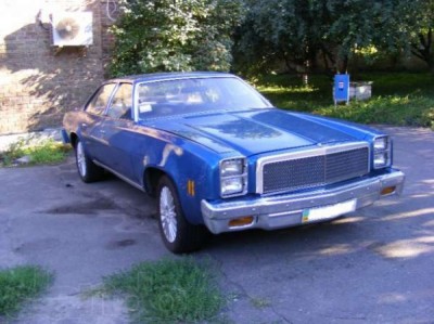 502f9bbae468c.jpg
