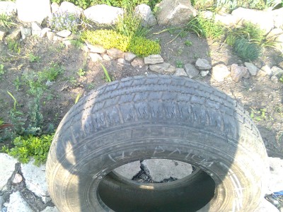 Шина 2357515.jpg