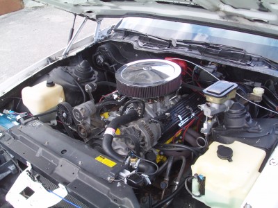 PICT0988.JPG