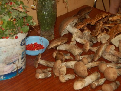 DSC_4374_hf.jpg