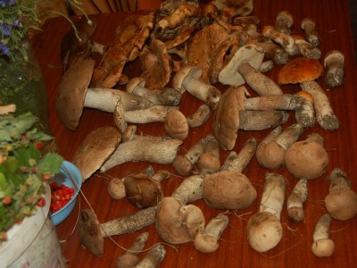 DSC_4375_hf.jpg
