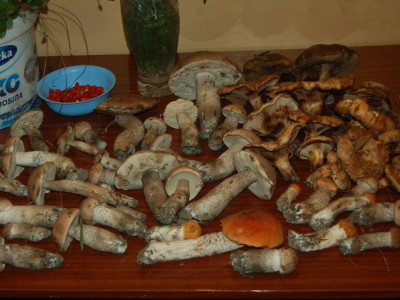 DSC_4376_hf.jpg
