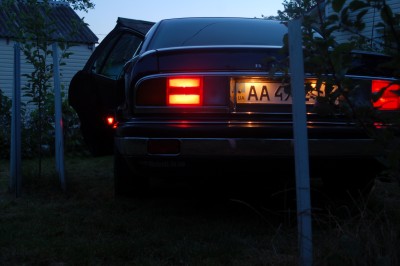 DSC_5300.JPG